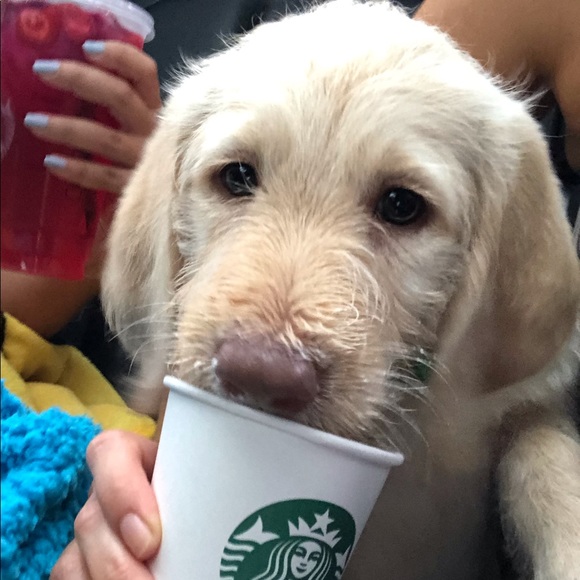 Meet your Posher, Austin - Picture 1 of 1